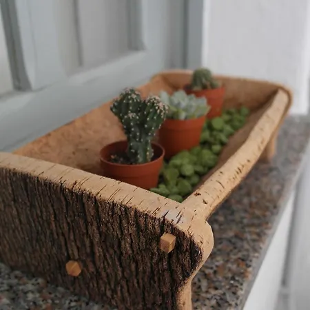 My Eco Bed & Breakfast *