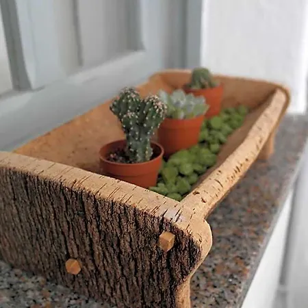 My Eco Bed & Breakfast