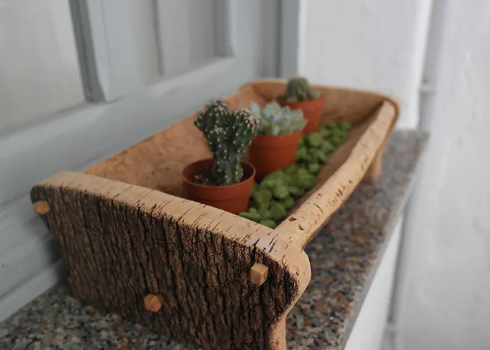 My Eco ベッド・アンド・ブレックファスト 3*